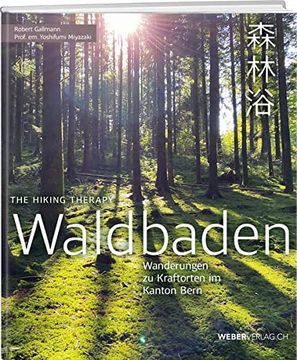 portada Waldbaden the Hiking Therapy: Wanderungen zu Kraftorten im Kanton Bern (in German)