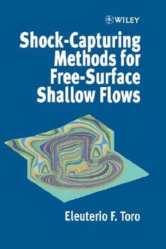 portada shock-capturing methods for free-surface shallow flows (en Inglés)
