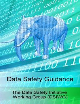 portada Data Safety Guidance (en Inglés)