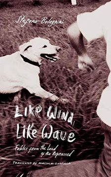 portada Like Wind, Like Wave: Fables From the Land of the Repressed 