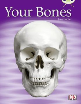 portada Your Bones Green 3 