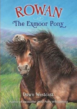 portada Rowan the Exmoor Pony (en Inglés)