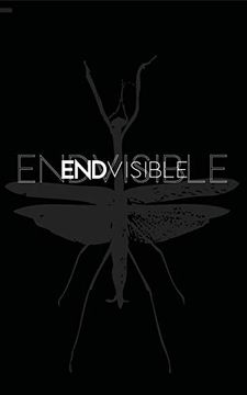 portada Endvisible (en Inglés)
