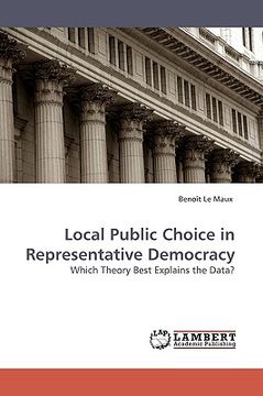 portada local public choice in representative democracy (en Inglés)
