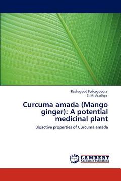 portada curcuma amada (mango ginger): a potential medicinal plant (in English)