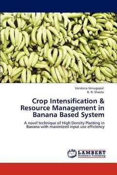 portada crop intensification & resource management in banana based system (en Inglés)