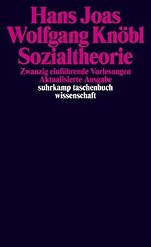 portada Sozialtheorie: Zwanzig Einführende Vorlesungen (Suhrkamp Taschenbuch Wissenschaft). (en Alemán)