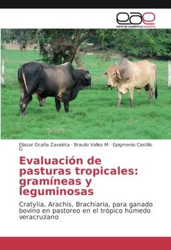 portada Evaluación de pasturas tropicales: gramíneas y leguminosas: Cratylia, Arachis, Brachiaria, para ganado bovino en pastoreo en el trópico húmedo veracruzano (Spanish Edition)