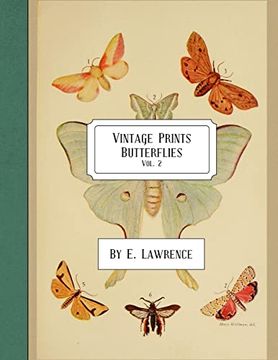 portada Vintage Prints: Butterflies: Vol. 2 (en Inglés)