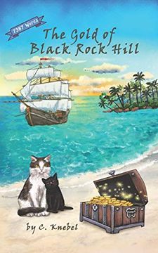 portada The Gold of Black Rock Hill: Decodable Chapter Books for Kids With Dyslexia (en Inglés)