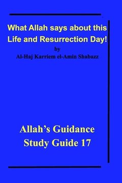 portada What Allah says about this Life and Resurrection Day!: Allah's Guidance Study Guide 17 (en Inglés)