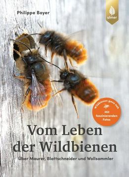 portada Vom Leben der Wildbienen (en Alemán)