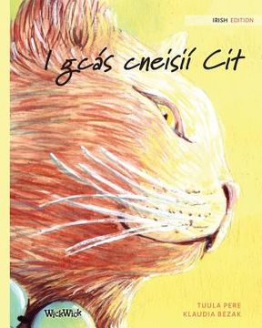 portada I gcás cneisií Cit: Irish Edition of The Healer Cat (en Irlanda)