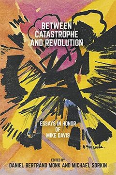 portada Between Catastrophe and Revolution: Essays in Honor of Mike Davis (en Inglés)