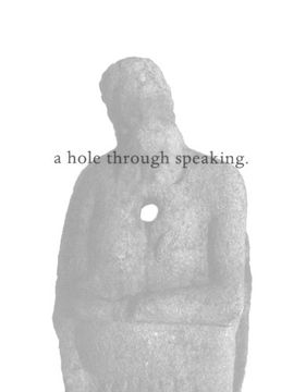 portada Jason Dodge: A hole through speaking