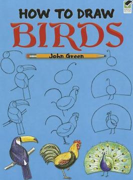 portada how to draw birds