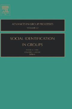 portada social identification in groups (en Inglés)