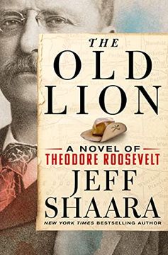 portada The old Lion: A Novel of Theodore Roosevelt 