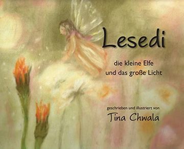 portada Lesedi die Kleine Elfe und das Große Licht (in German)