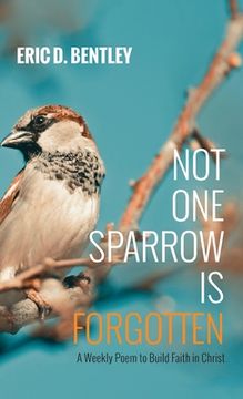 portada Not One Sparrow Is Forgotten