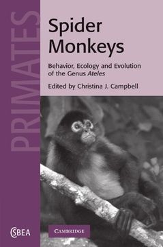 portada Spider Monkeys Paperback (Cambridge Studies in Biological and Evolutionary Anthropology) (in English)