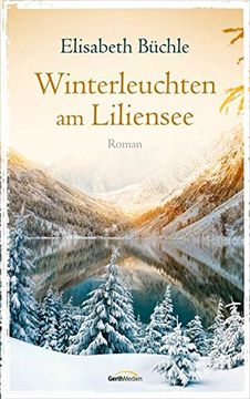 portada Winterleuchten am Liliensee: Roman (in German)