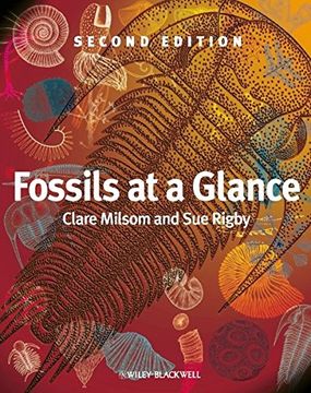 portada Fossils at a Glance