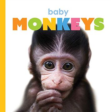 portada Baby Monkeys (Starting Out) (en Inglés)