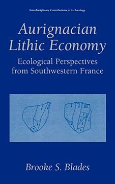 portada Aurignacian Lithic Economy (en Inglés)