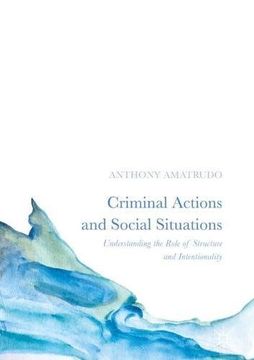 portada Criminal Actions and Social Situations: Understanding the Role of Structure and Intentionality