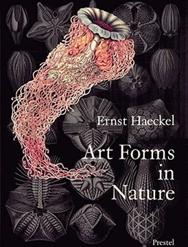 portada Art Forms in Nature: Prints of Ernst Haekel (Monographs) 
