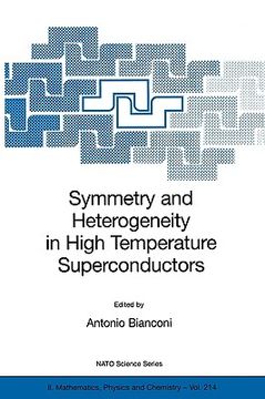 portada symmetry and heterogeneity in high temperature superconductors (en Inglés)