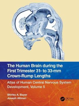 portada The Human Brain During the First Trimester 31- to 33-Mm Crown-Rump Lengths: Atlas of Human Central Nervous System Development, Volume 5 (Atlas of Human Central Nervous System Development, 5) (en Inglés)