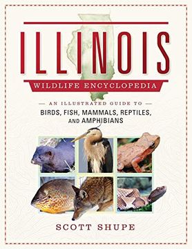 portada Illinois Wildlife Encyclopedia: An Illustrated Guide to Birds, Fish, Mammals, Reptiles, and Amphibians (in English)