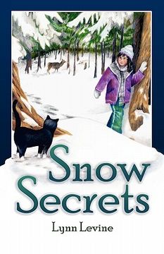 portada snow secrets (en Inglés)