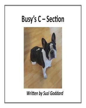 portada Busy's C - Section (en Inglés)