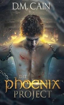 portada The Phoenix Project 