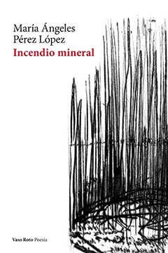 portada Incendio mineral (in Spanish)