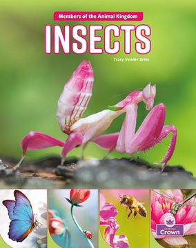 portada Insects