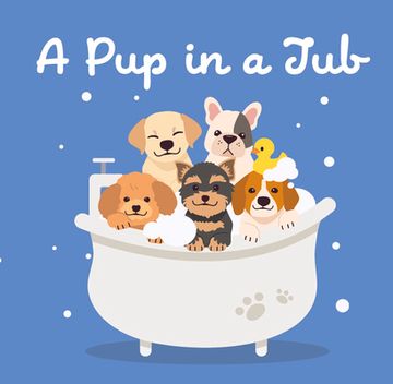 portada A Pup in a Tub (in English)