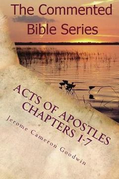 portada Acts Of Apostles Chapters 1-7: Keep On Bearing Witness To The Truth (en Inglés)