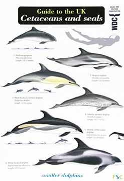 portada Guide to the UK Cetaceans and Seals (Chart)