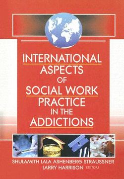 portada international aspects of social work practice in the addictions (en Inglés)