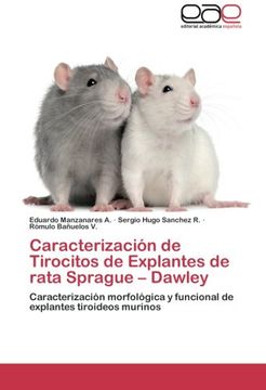 portada Caracterizacion de Tirocitos de Explantes de Rata Sprague - Dawley