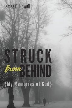 portada struck from behind: my memories of god (in English)