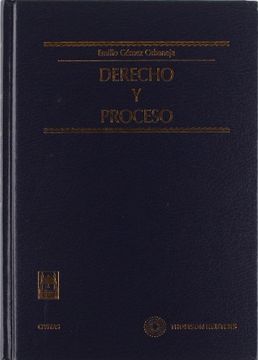 portada derecho y proceso 1ª ed