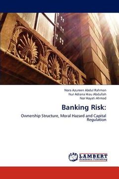 portada banking risk (en Inglés)