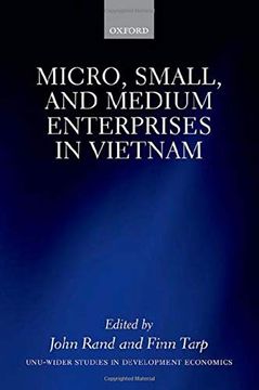 portada Micro, Small, and Medium Enterprises in Vietnam (Wider Studies in Development Economics) (en Inglés)