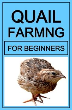 portada Quail Farming For Beginners (en Inglés)