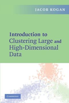 portada Introduction to Clustering Large and High-Dimensional Data Paperback 